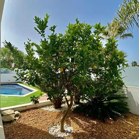 Limoeiro - Beautiful New Nestled In The Heart Of Gale