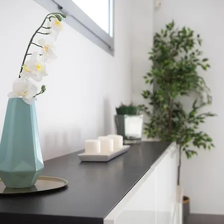 Limoeiro - Beautiful New Nestled In The Heart Of Gale