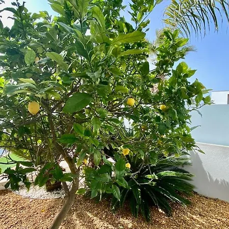 Villa Limoeiro - Beautiful New Nestled In The Heart Of Gale Guia (Faro)