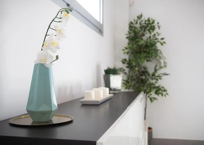 Limoeiro - Beautiful New Nestled In The Heart Of Gale